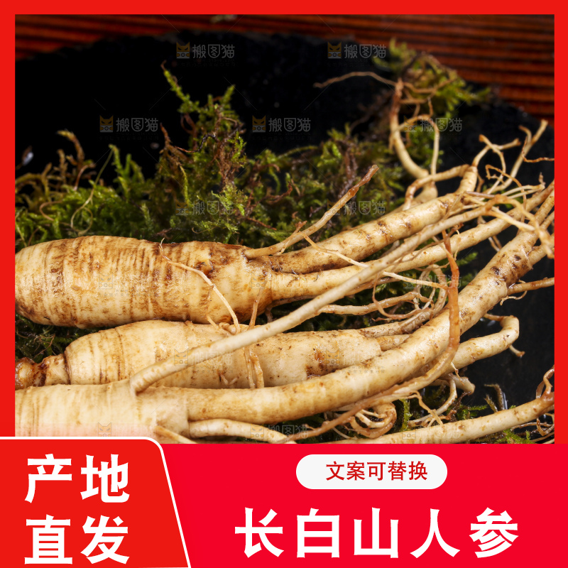 深底上的人参