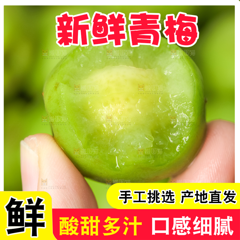 手拿新鲜青梅