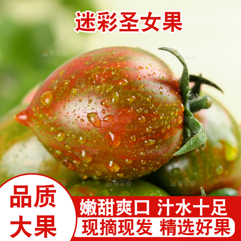 手拿迷彩小番茄