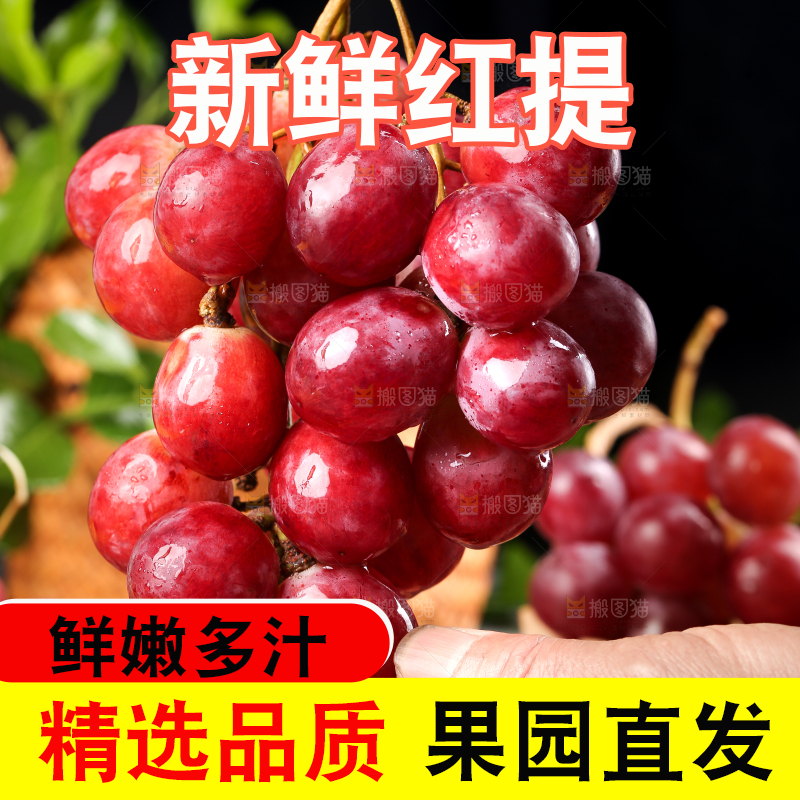手拿新鲜红提