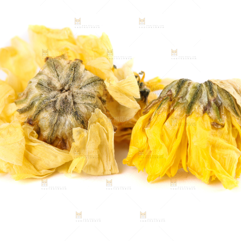 白底上的干菊花