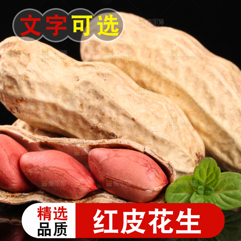 东北红皮花生放在黑底上