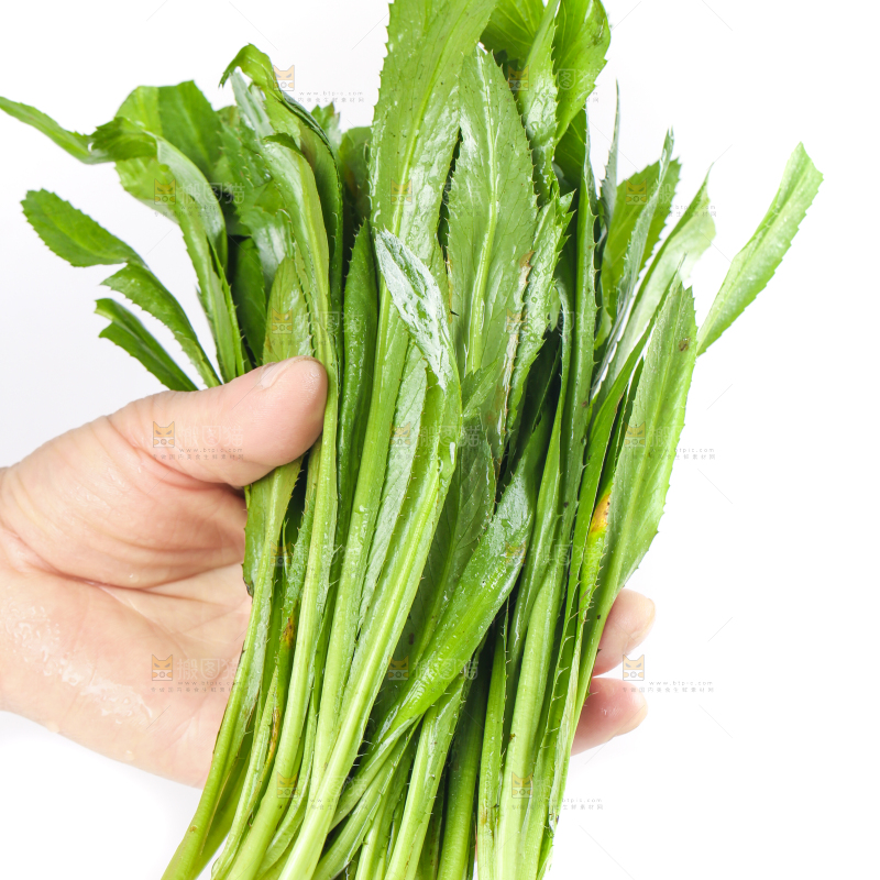手拿云南大香菜