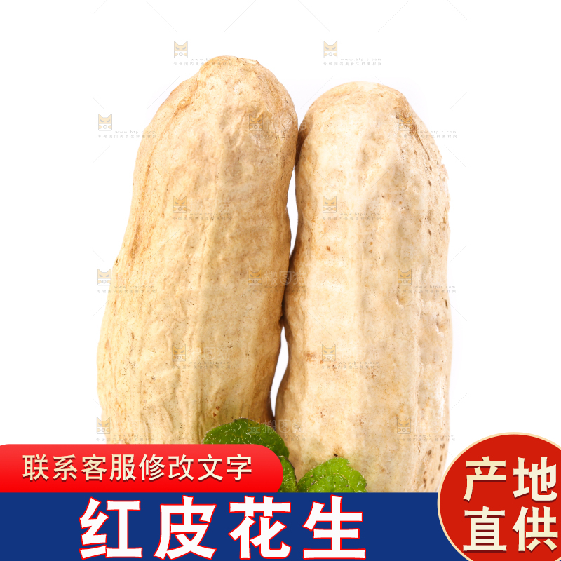 白底上放着东北红皮花生