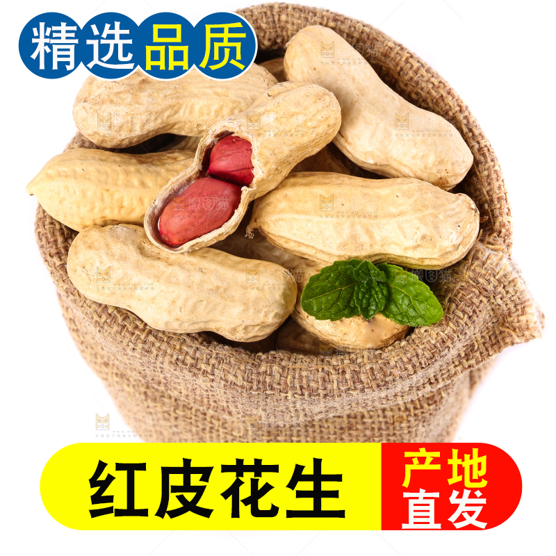 麻袋里装着花生仁