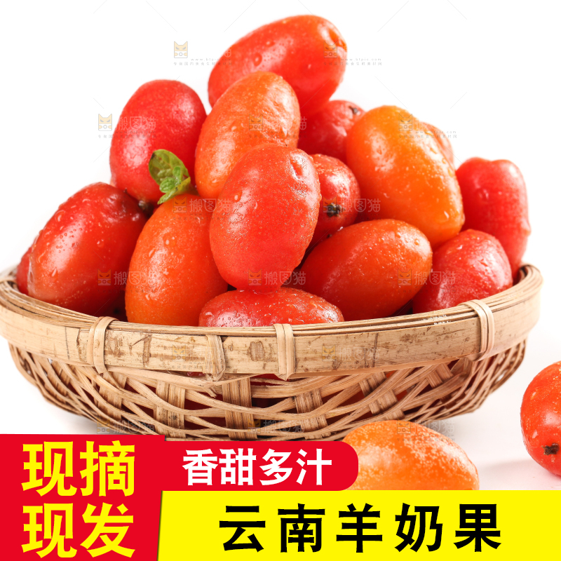 一筐临沧甜羊奶果放在白底上