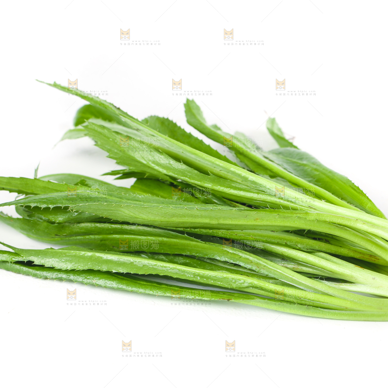 白底上的大香菜
