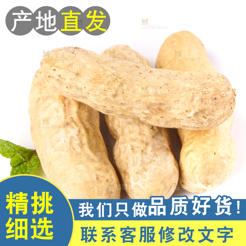 白底上放着东北红皮花生