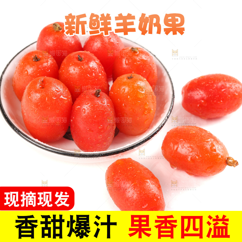 一盘新鲜的胡颓果放在白底上