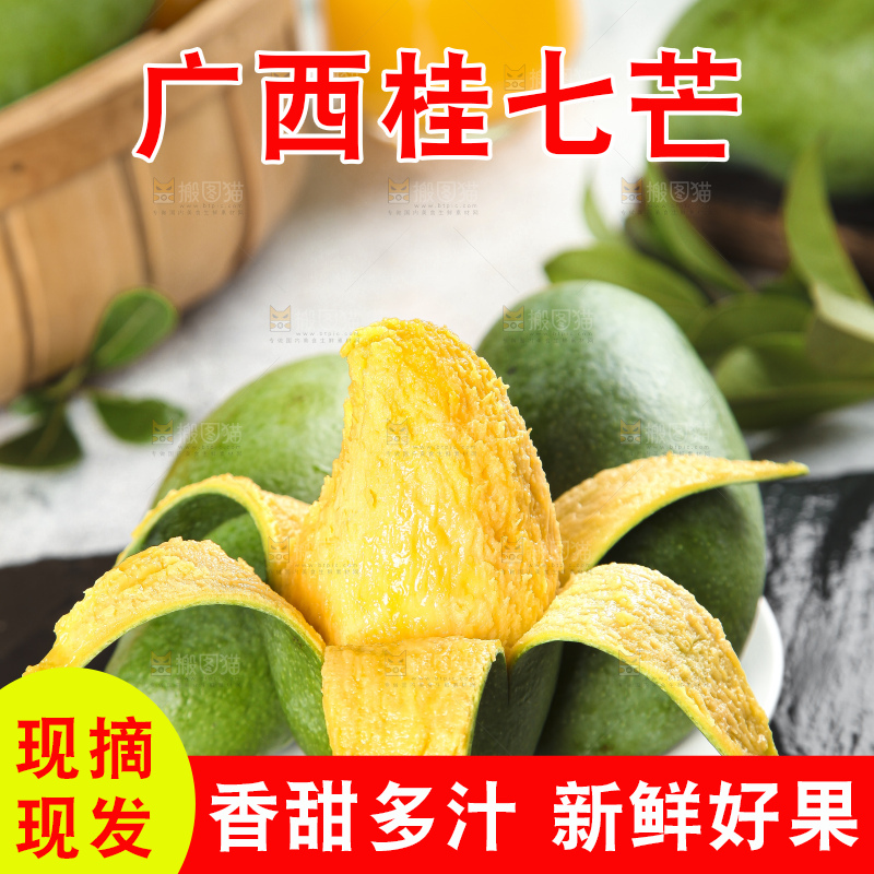 石板上的青皮桂七芒