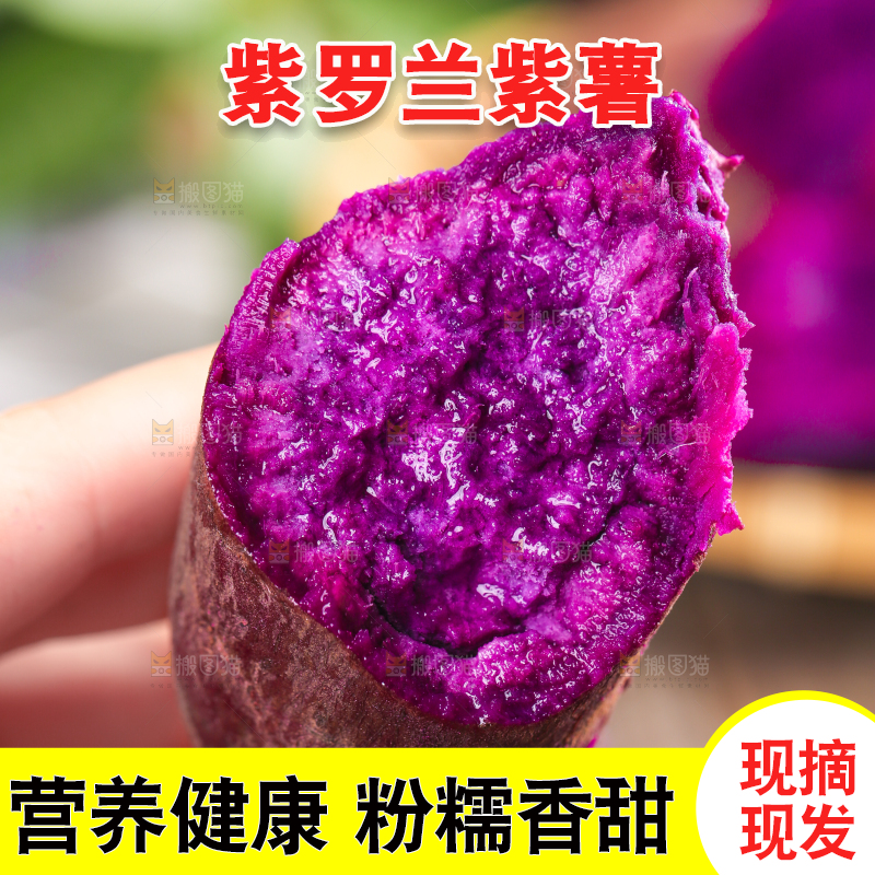 手里拿着紫番薯