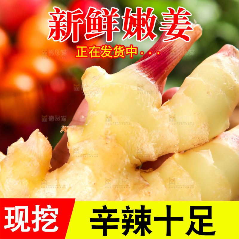 手里拿着嫩姜