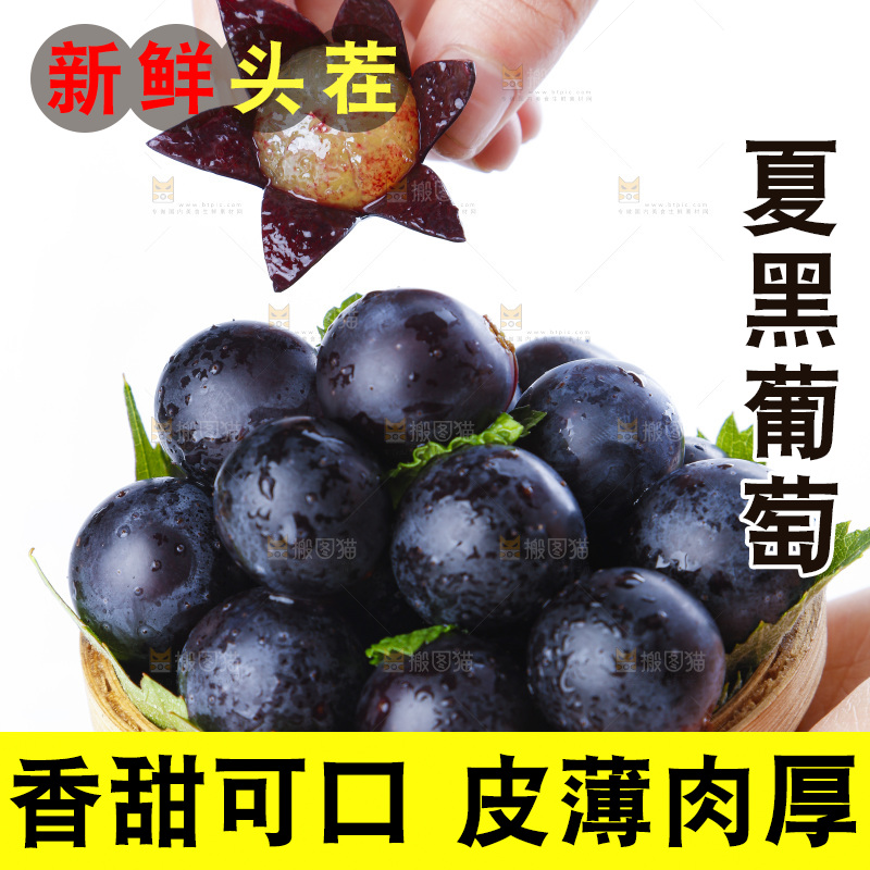 手里拿着黑加仑葡萄
