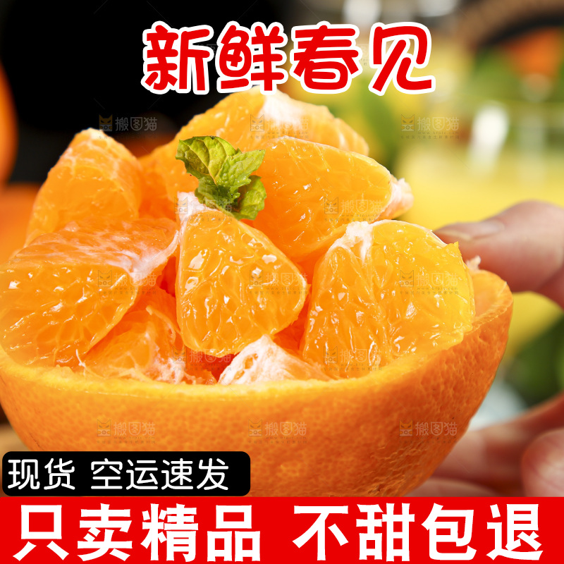 手里拿着四川耙耙柑