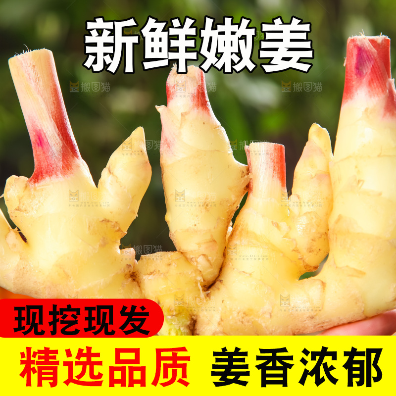 手里拿着嫩姜