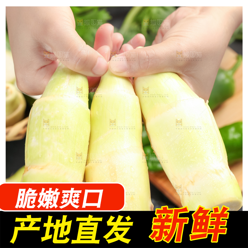 手里拿着湖北新鲜茭白