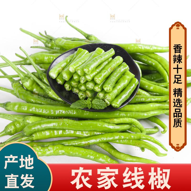 白底上的二荆条辣椒