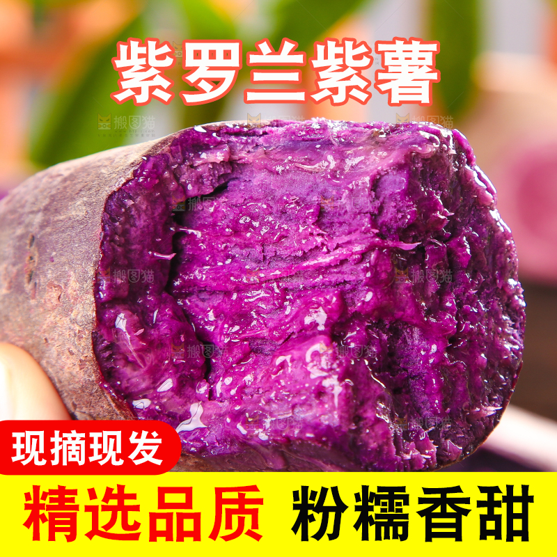 手里拿着紫番薯