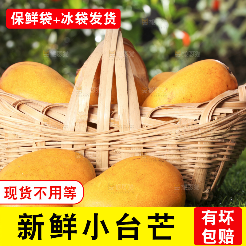 草地上的新鲜小台芒
