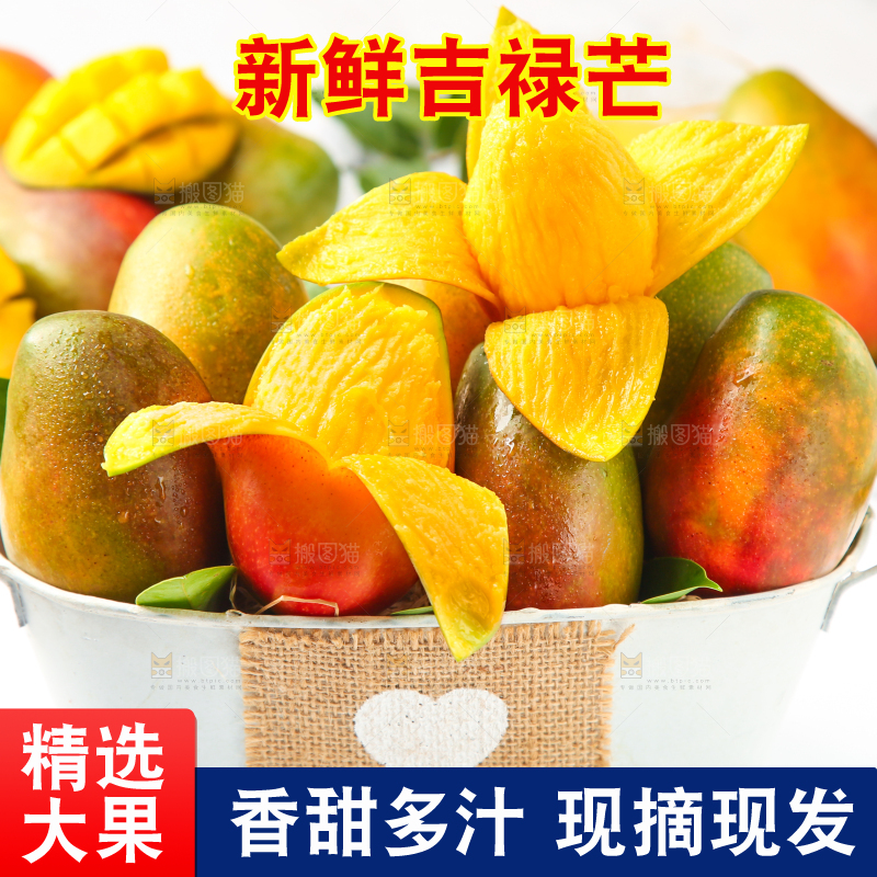 篮子里的爱文芒