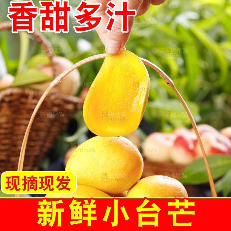 手里拿着小台农芒