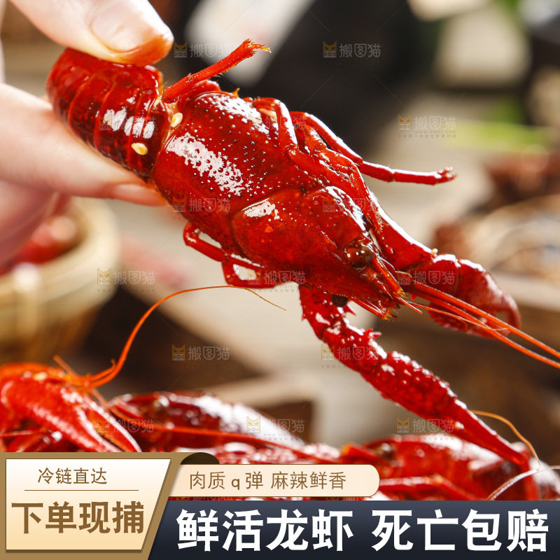 木底上的蒸小龙虾