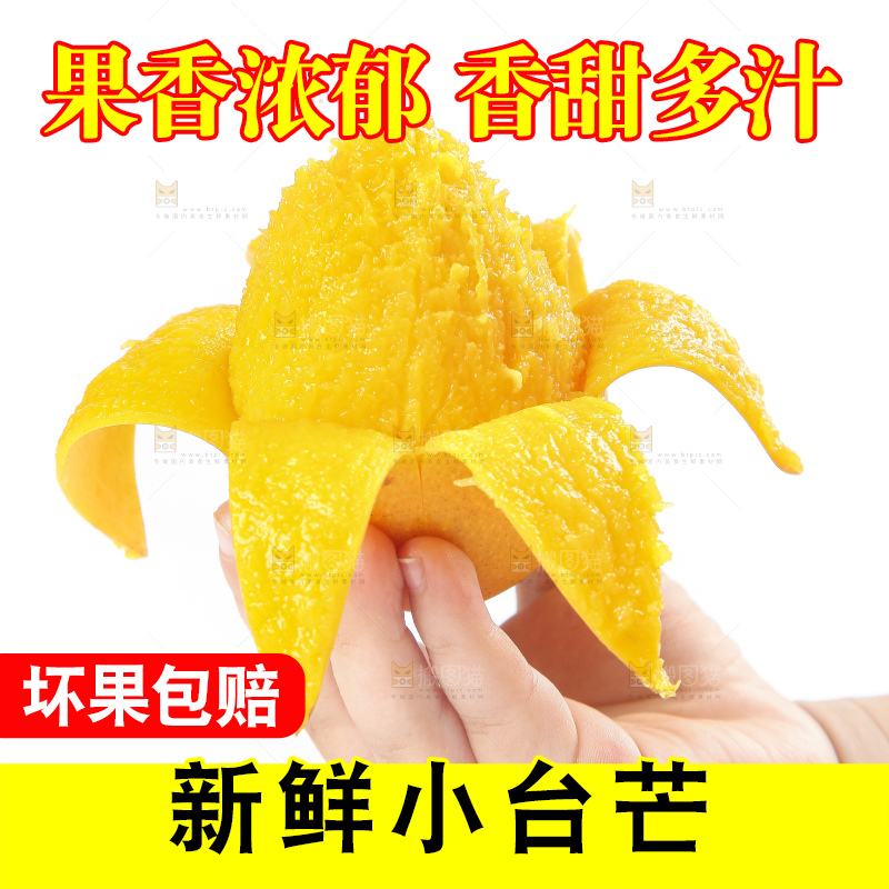 手里拿着小台农芒果肉