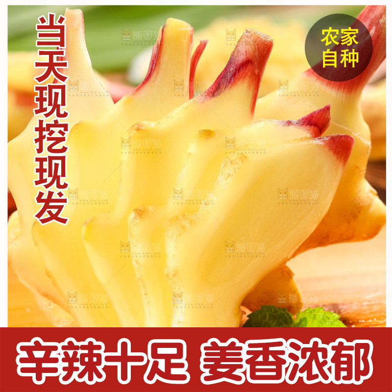 木板上的山东红芽生姜