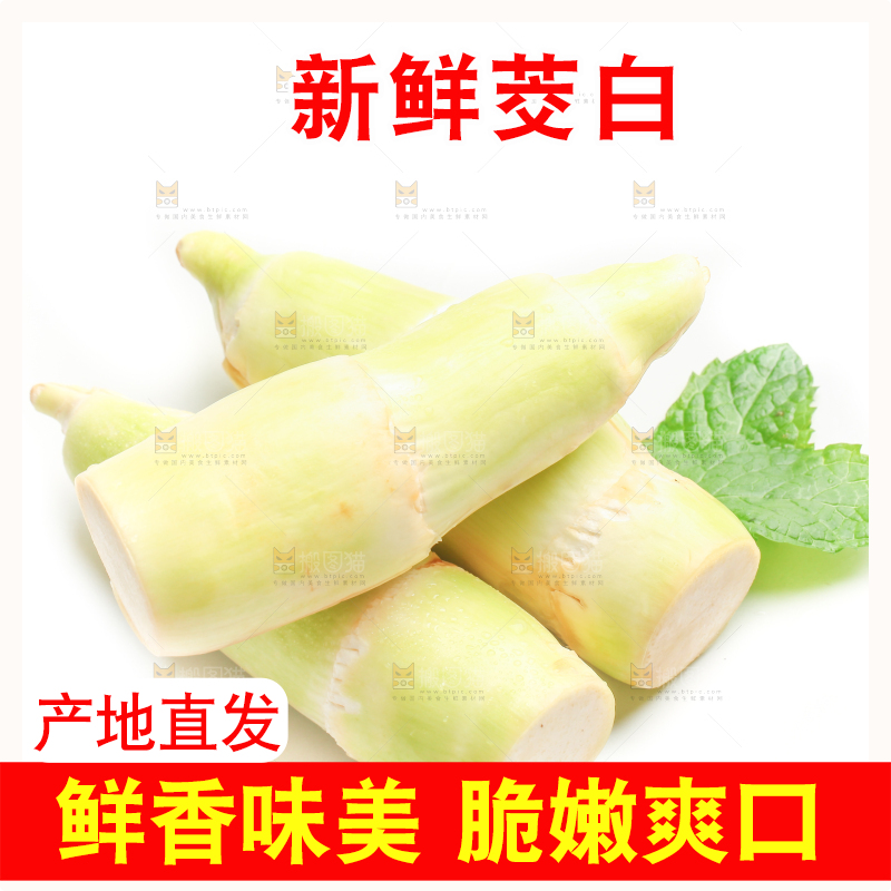 白底上的茭白