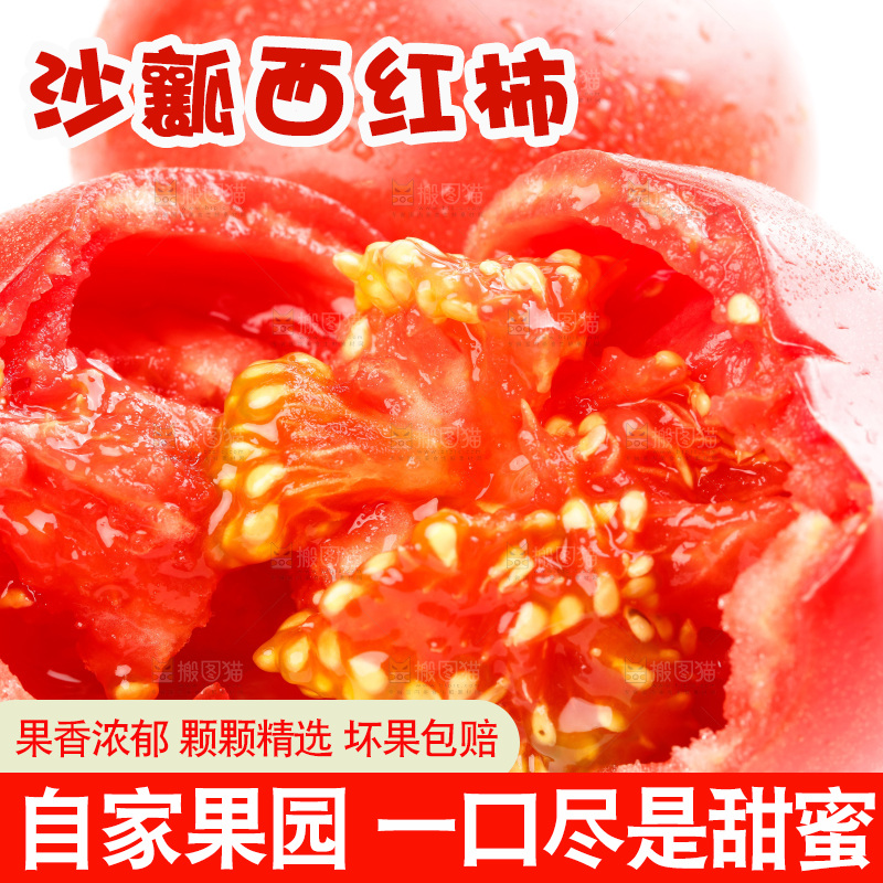 亮底上的新鲜西红柿