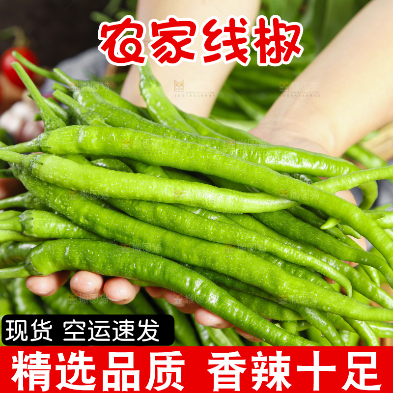 手里拿着线椒