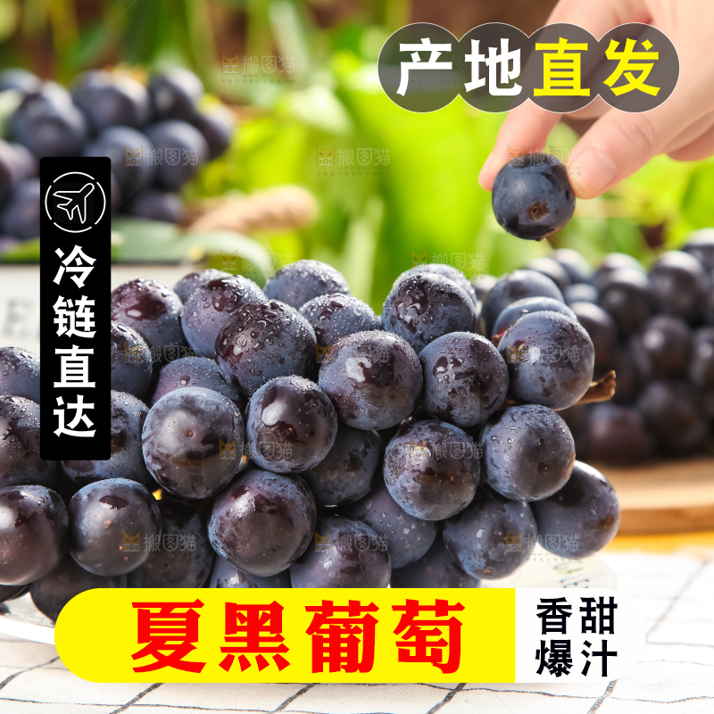 白格子底上放着夏黑葡萄