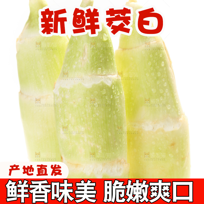 白底上的茭白
