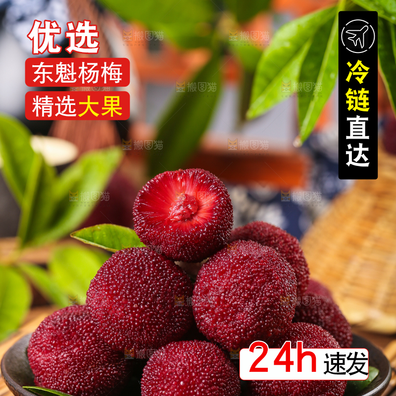 深底上放着余姚杨梅