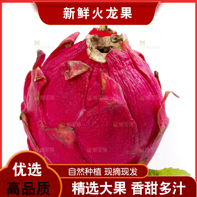 白底上的金都一号火龙果