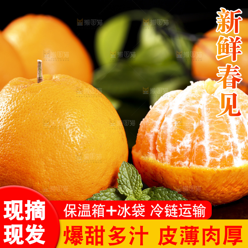 石板上摆放着四川春见耙耙柑