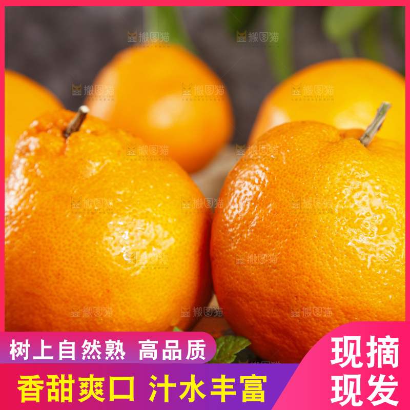 木板上的春见耙耙柑