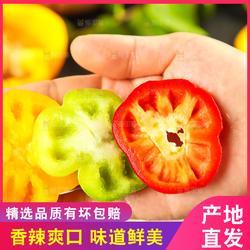 手里拿着新鲜辣椒