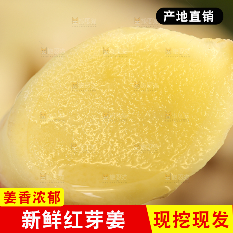 手里拿着红芽姜