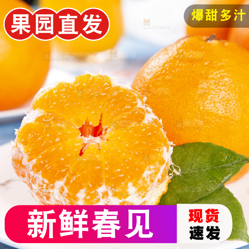 盘里装着四川春见耙耙柑