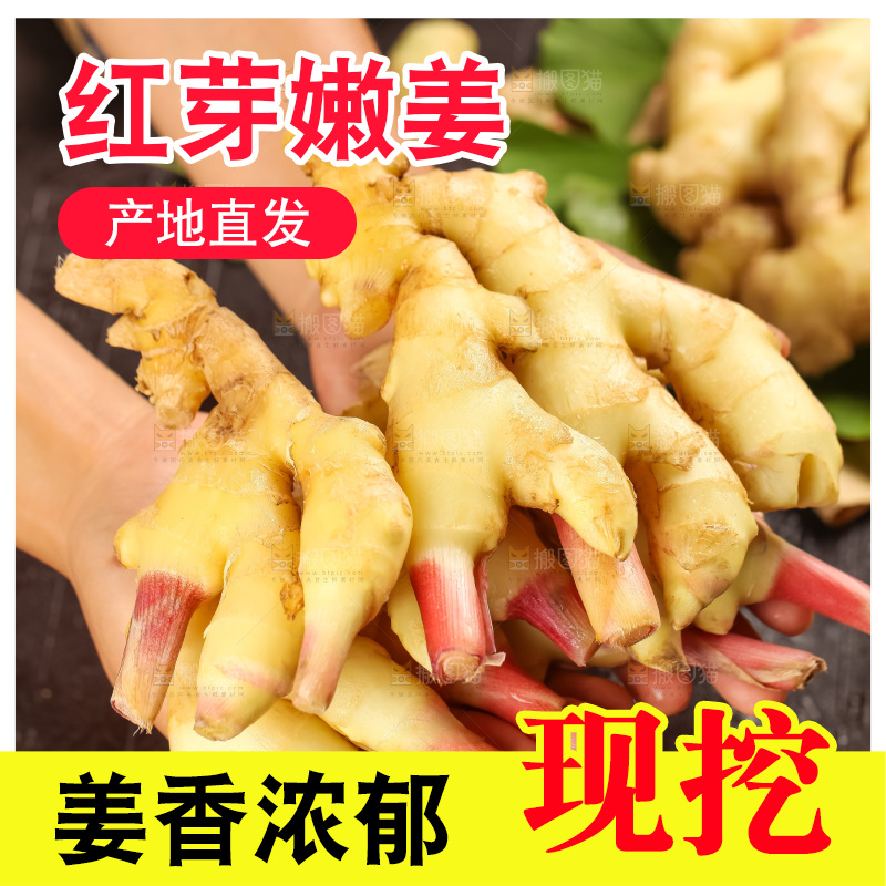 木板上的山东红芽生姜