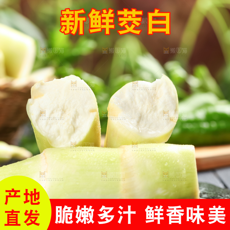 石板上的云南茭白