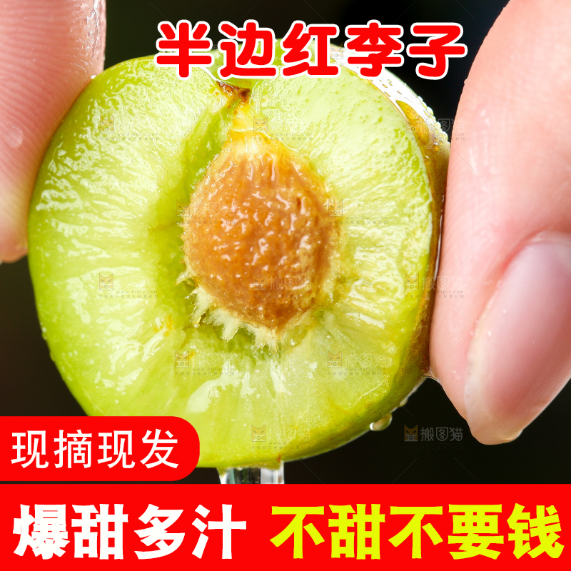 手里拿着脆红李