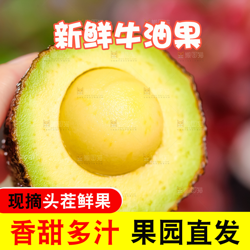 浅底上的巨无霸牛油果