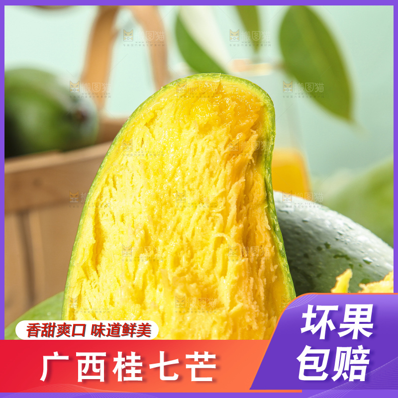 石板上的青皮桂七芒