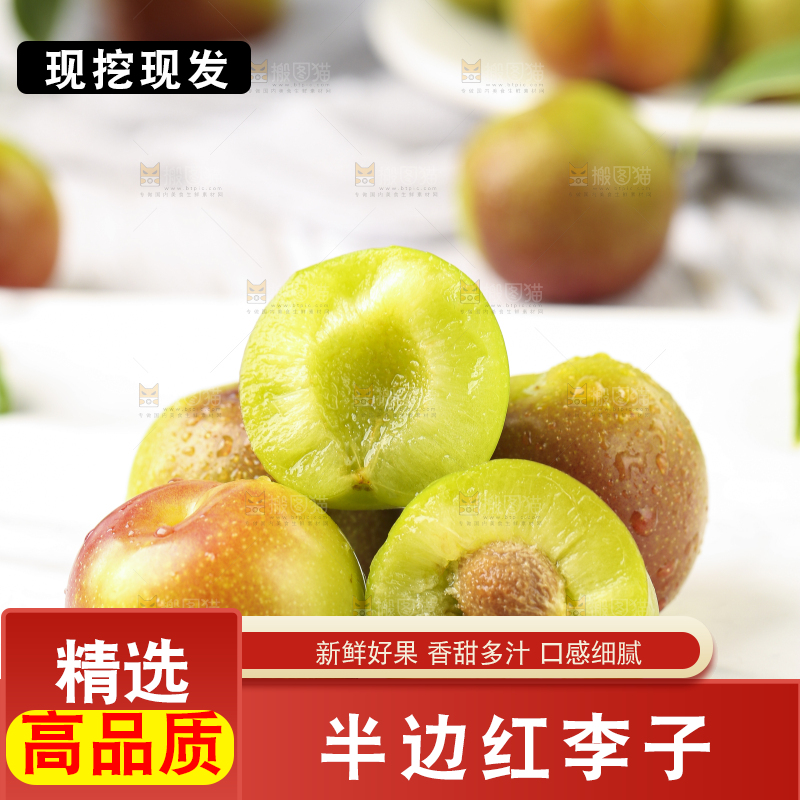 石板上摆放着四川茵红脱骨李
