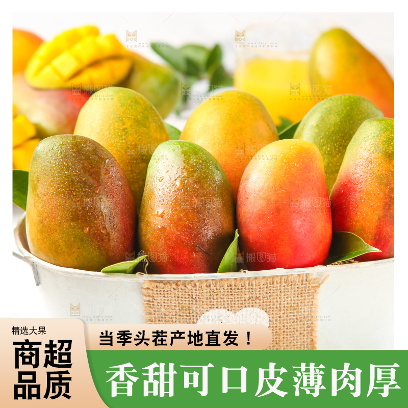 篮子里的爱文芒