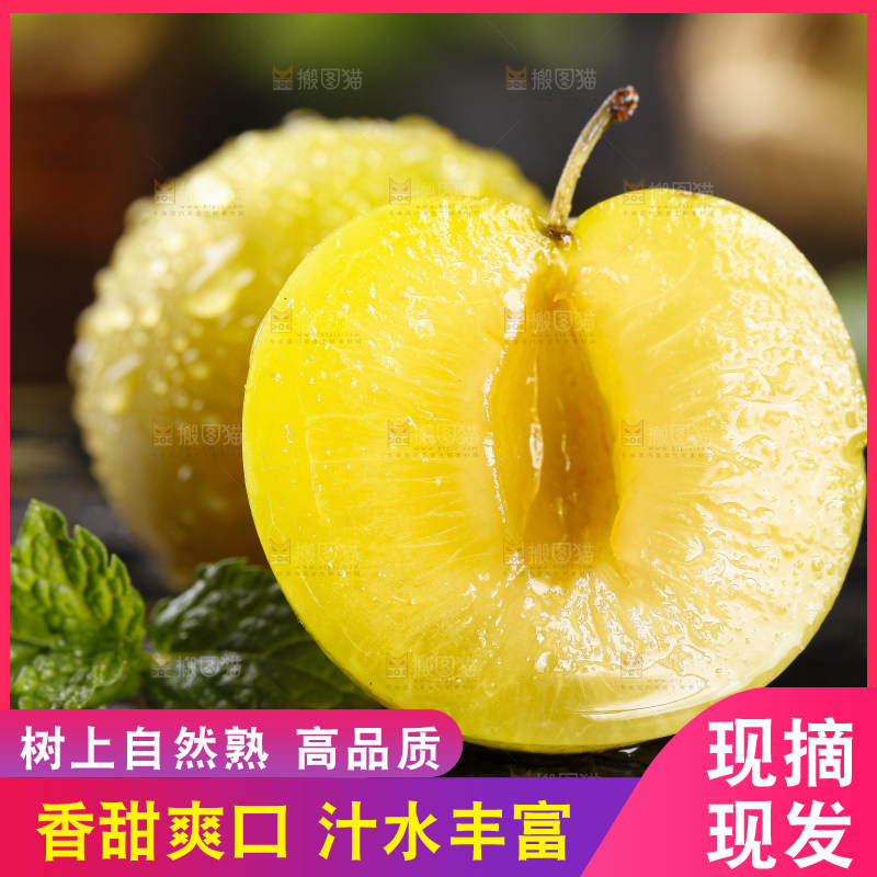 石板上放着九峰山黄金奈李