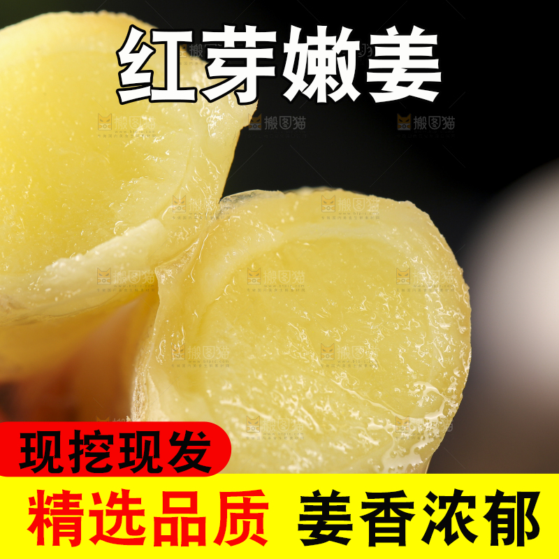 手里拿着红芽姜