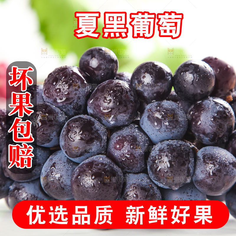 石板上的夏黑无籽葡萄